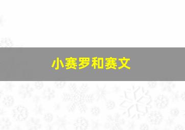 小赛罗和赛文