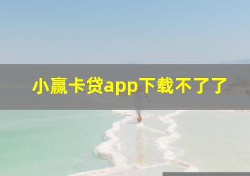 小赢卡贷app下载不了了