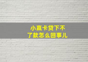 小赢卡贷下不了款怎么回事儿