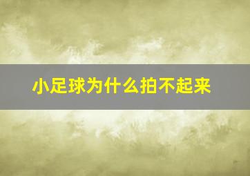 小足球为什么拍不起来