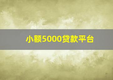 小额5000贷款平台