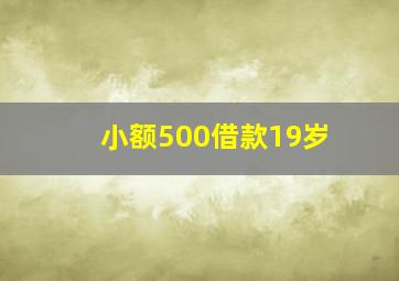 小额500借款19岁