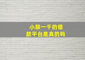 小额一千的借款平台是真的吗