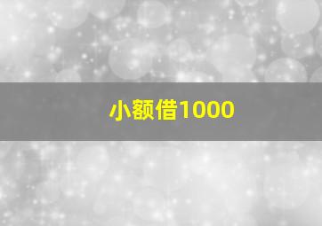 小额借1000