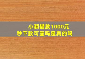 小额借款1000元秒下款可靠吗是真的吗