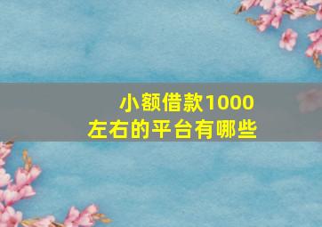 小额借款1000左右的平台有哪些