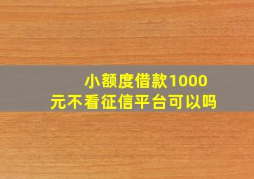 小额度借款1000元不看征信平台可以吗