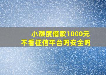 小额度借款1000元不看征信平台吗安全吗