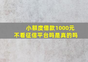 小额度借款1000元不看征信平台吗是真的吗