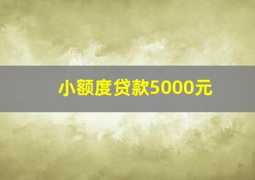 小额度贷款5000元