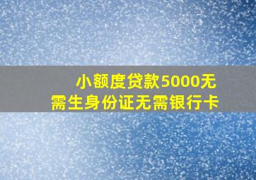 小额度贷款5000无需生身份证无需银行卡