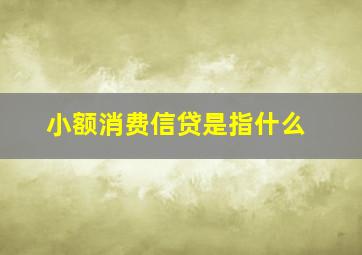 小额消费信贷是指什么