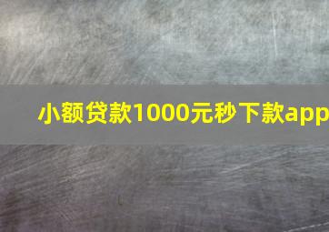 小额贷款1000元秒下款app