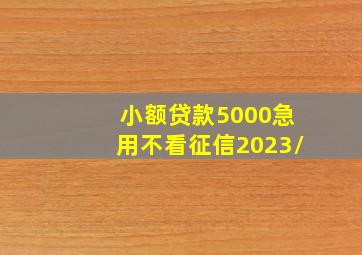 小额贷款5000急用不看征信2023/