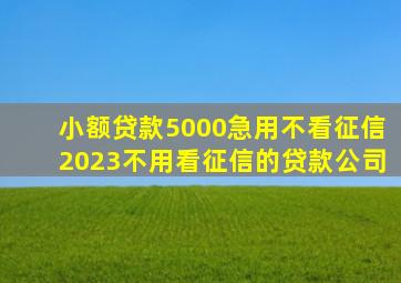 小额贷款5000急用不看征信2023不用看征信的贷款公司