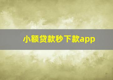 小额贷款秒下款app