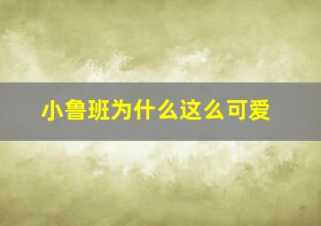 小鲁班为什么这么可爱