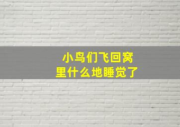 小鸟们飞回窝里什么地睡觉了