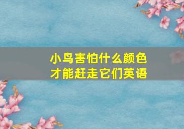 小鸟害怕什么颜色才能赶走它们英语