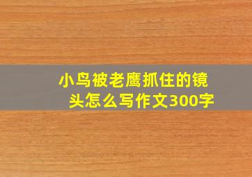 小鸟被老鹰抓住的镜头怎么写作文300字