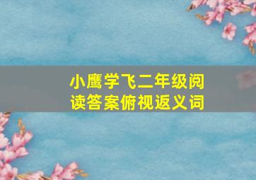 小鹰学飞二年级阅读答案俯视返义词