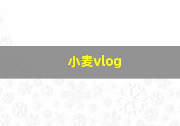 小麦vlog