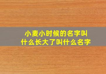 小麦小时候的名字叫什么长大了叫什么名字