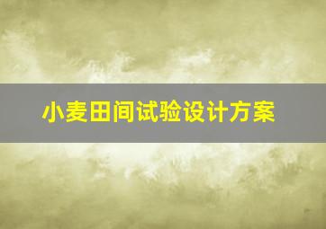 小麦田间试验设计方案