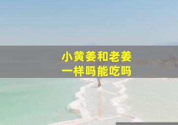 小黄姜和老姜一样吗能吃吗