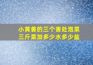 小黄姜的三个害处泡菜三斤菜加多少水多少盐