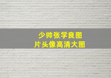 少帅张学良图片头像高清大图