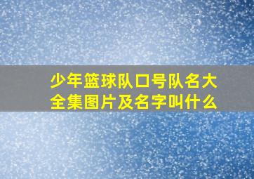 少年篮球队口号队名大全集图片及名字叫什么