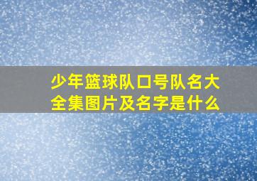 少年篮球队口号队名大全集图片及名字是什么