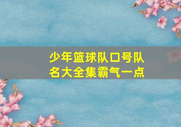 少年篮球队口号队名大全集霸气一点