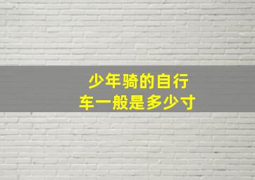 少年骑的自行车一般是多少寸