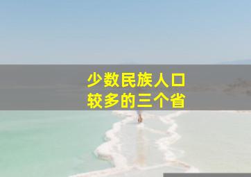 少数民族人口较多的三个省