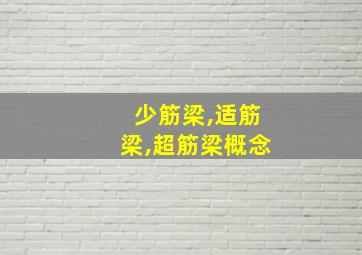 少筋梁,适筋梁,超筋梁概念