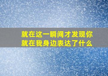 就在这一瞬间才发现你就在我身边表达了什么