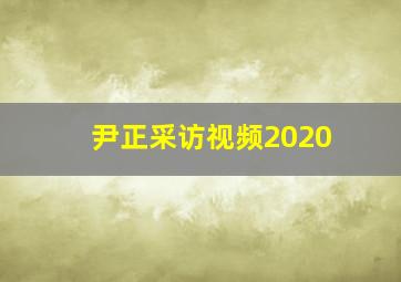 尹正采访视频2020