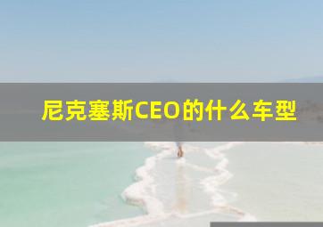 尼克塞斯CEO的什么车型