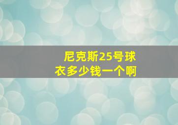 尼克斯25号球衣多少钱一个啊