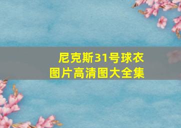 尼克斯31号球衣图片高清图大全集