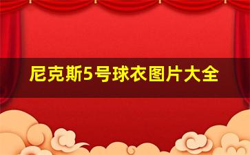 尼克斯5号球衣图片大全