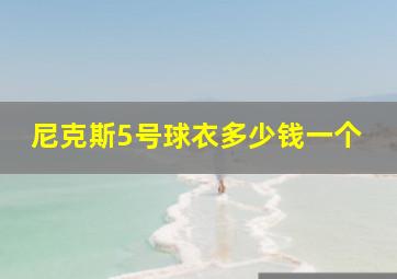 尼克斯5号球衣多少钱一个