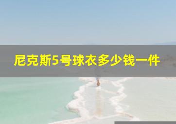 尼克斯5号球衣多少钱一件