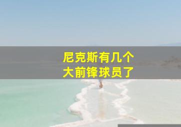 尼克斯有几个大前锋球员了