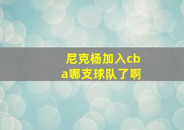 尼克杨加入cba哪支球队了啊