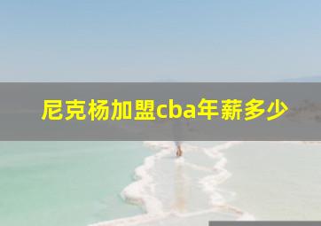 尼克杨加盟cba年薪多少