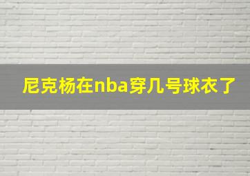 尼克杨在nba穿几号球衣了