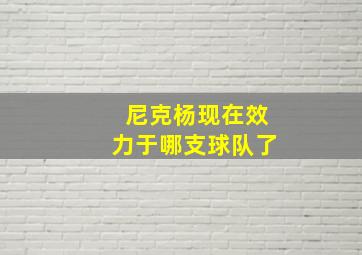 尼克杨现在效力于哪支球队了